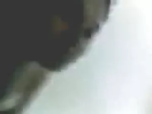 एक नारंगी पृष्ठभूमि  ...