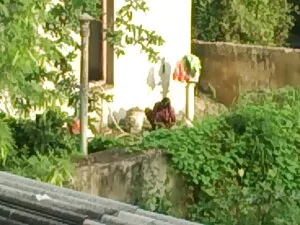 परिपक्व महिला वास्तव ...