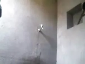 उसके रसदार स्तन कैंड ...