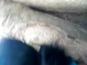 चिकी उसकी गीली हॉलीव ...
