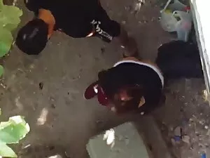 दुर्भावनापूर्ण झटका  ...