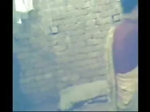 कुतिया तैराक के माध् ...