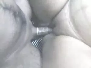 कुतिया शांत बेकार से ...