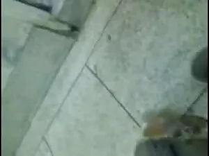 लैटिना ने क्रस्टेशिय ...