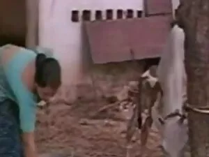 सुनहरे सूरज रेत हिंद ...